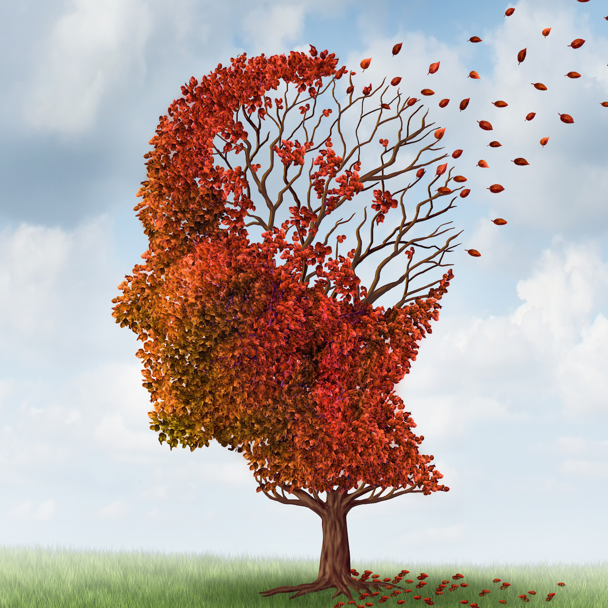 Dementia Support Group